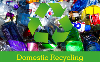 Minefield of Domestic Recycling