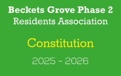 BGP2RA Constitution 2025-2026